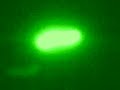 ufo a difesa grande(termoli)