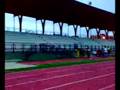videos de salto olimpico