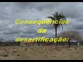 trabalho meio ambiente etec-pg
