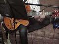 Singapore Night - Black Cats - Cover