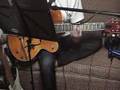 Singapore Night - Black Cats - Cover