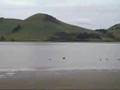 Dunedin et Otago Peninsula