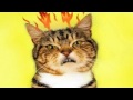 Click here to watch this video enuss IN boots: starships nikki minaj parody kat chips FUNNY !!2