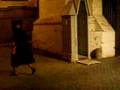 swiss-guard
