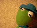 GORILLA VS. CERMIT THE FROG GORILLA VS. CERMIT THE FROG