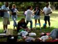 Basset Hound video