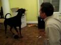 videos de Malina