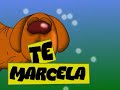 Un perro con un comunicado