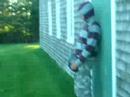 More Ball Throwing