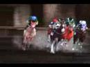 f2system -  Royal derby
