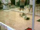 Pennbots 2008