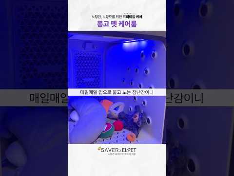 우리 아이들 장난감, 소독하고 계시나요?