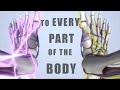 A chiropractic music video