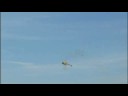 T-Rex 600 NSP 3D Flight Ga�l LAMIRAND