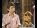 alf-amateur-radio.html