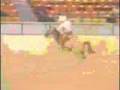 Its not okay! horses! - preview!!!