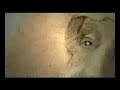 mbc-amar-salman-promo.html