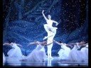 The Nutcracker: Act 1, No.8 Scene: A Pine Forest in Winter
