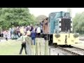 Shunter Hunter Extravaganza