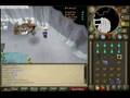 killing aviansies