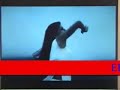 Crazy Indian Music Video(English Lyrics) 1