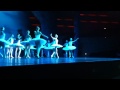 2.1.2012 Schwanensee