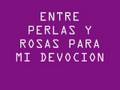 videos de bevoclarke-RECUERDO A FLORECER