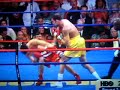 Best knock out punch ever!! Best knock out punch ever!!
