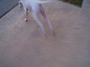 Custom Speedboards & Longboards