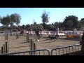 TRUFA (16.11.08) - Open agility TOSSUTS - 2on circuit TRUFA (16.11.08) - Open agility TOSSUTS - 2on circuit
