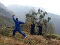 five animals qi gong of wu dang with rafi anteby