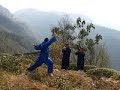 Five Animals Qi Gong of Wu Dang with Rafi Anteby