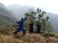 Five Animals Qi Gong of Wu Dang with Rafi Anteby