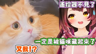 買東西前請一定要好好確認商品規格,不可以跟蘿蔔子一樣唷。蘿蔔子:看起來差不多一樣就可以啦!下單!【蘿蔔子/ロボ子/ROBOCO】【HOLOLIVE中文】 買東西前請一定要好好確認商品規格,不可以跟蘿蔔子一樣唷。蘿蔔子:看起來差不多一樣就可以啦!下單!【蘿蔔子/ロボ子/ROBOCO】【HOLOLIVE中文】