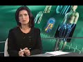 Células-tronco podem ser usadas no tratamento da esclerose m