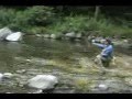 ナナホシテントウ動画13