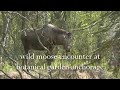 Alaska Cruise Part 2