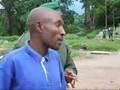 Godefroid Wambale the Congo Ranger explains about birds