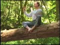 Qi Gong Flow For Beginners with Lee Holden - Teaser