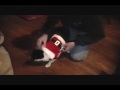 Nobby Santa Suit 12 09.wmv