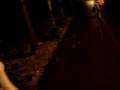 videos de Eu e a Pulguinha pagando mico na estrada =)