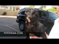VANESSA HUDGENS LUNCHES WITH MOM