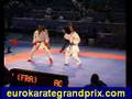 Norway 2006 - Kumite Finals - Male 75kg - France V Italy