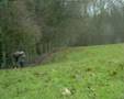 PHEASANT SHOOTING english driven part two