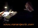 HIP HOP DOMINICANO- DJ-MAHOGANY-----DJ-LOMBARDO--