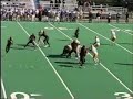 Brandon Green Senior Season Highlights (Jersey #1)
