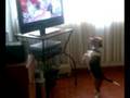 videos de Me encanta mirar tele