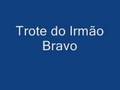 Irmão Bravo