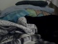 Ravenpaw Used Dig