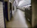 Bound for Home